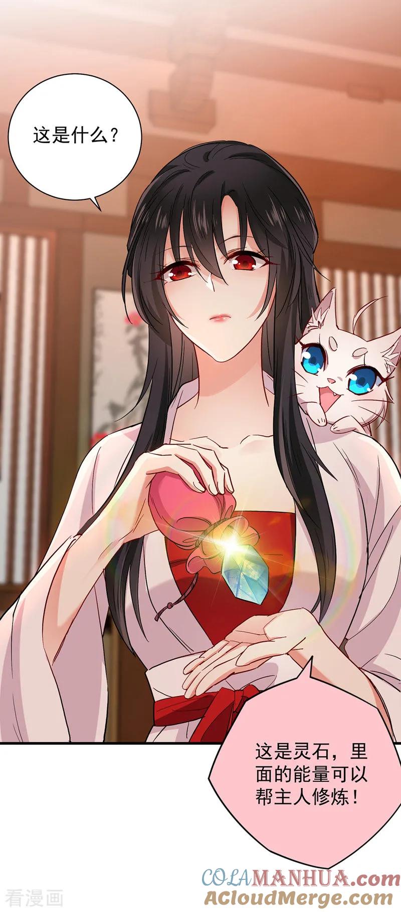 我在异界养男神：神医九小姐 第23话 去往赏石会 第9页