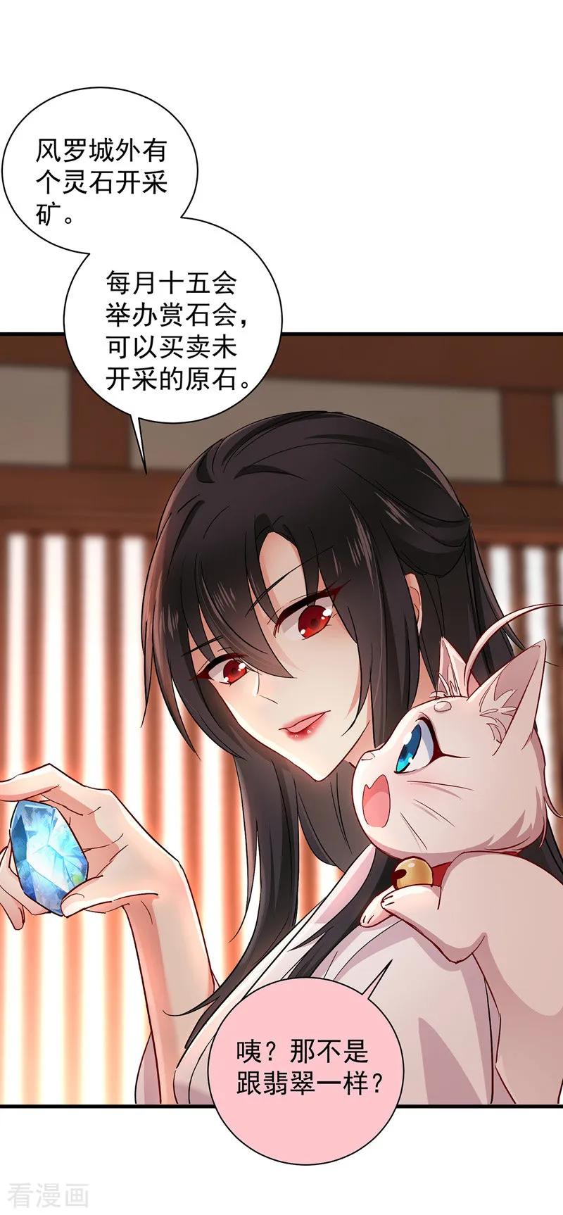我在异界养男神：神医九小姐 第23话 去往赏石会 第12页