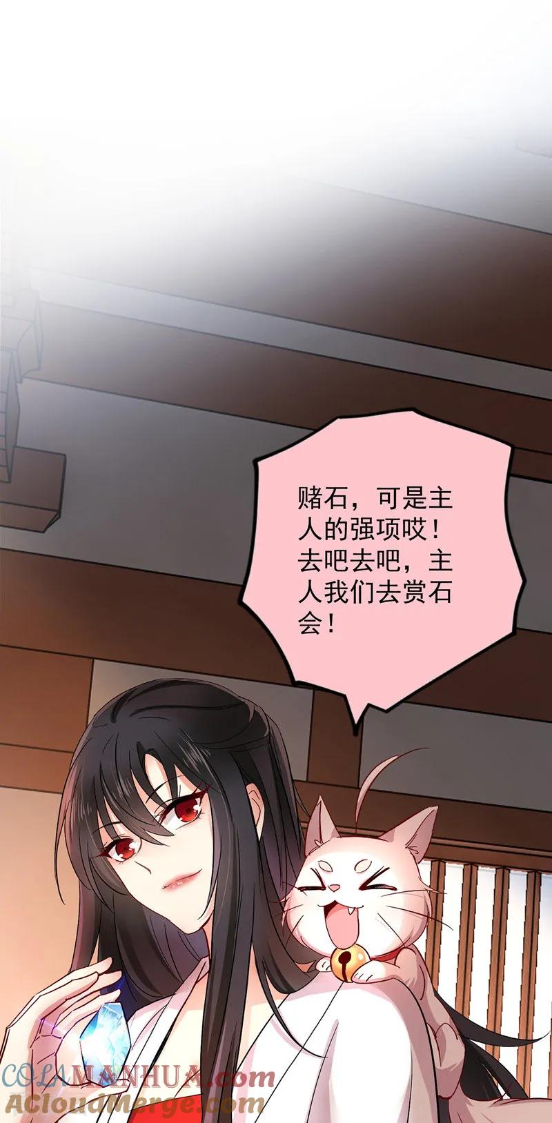 我在异界养男神：神医九小姐 第23话 去往赏石会 第13页
