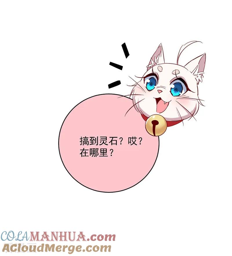 我在异界养男神：神医九小姐 第23话 去往赏石会 第11页