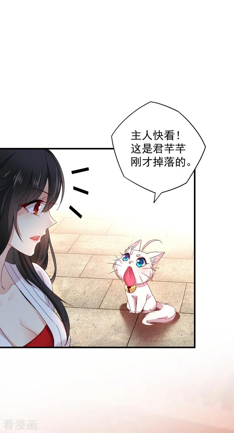 我在异界养男神：神医九小姐 第23话 去往赏石会 第8页