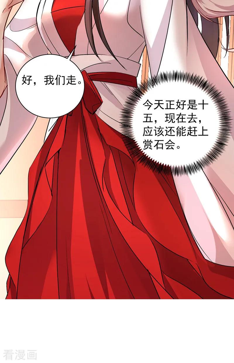 我在异界养男神：神医九小姐 第23话 去往赏石会 第14页