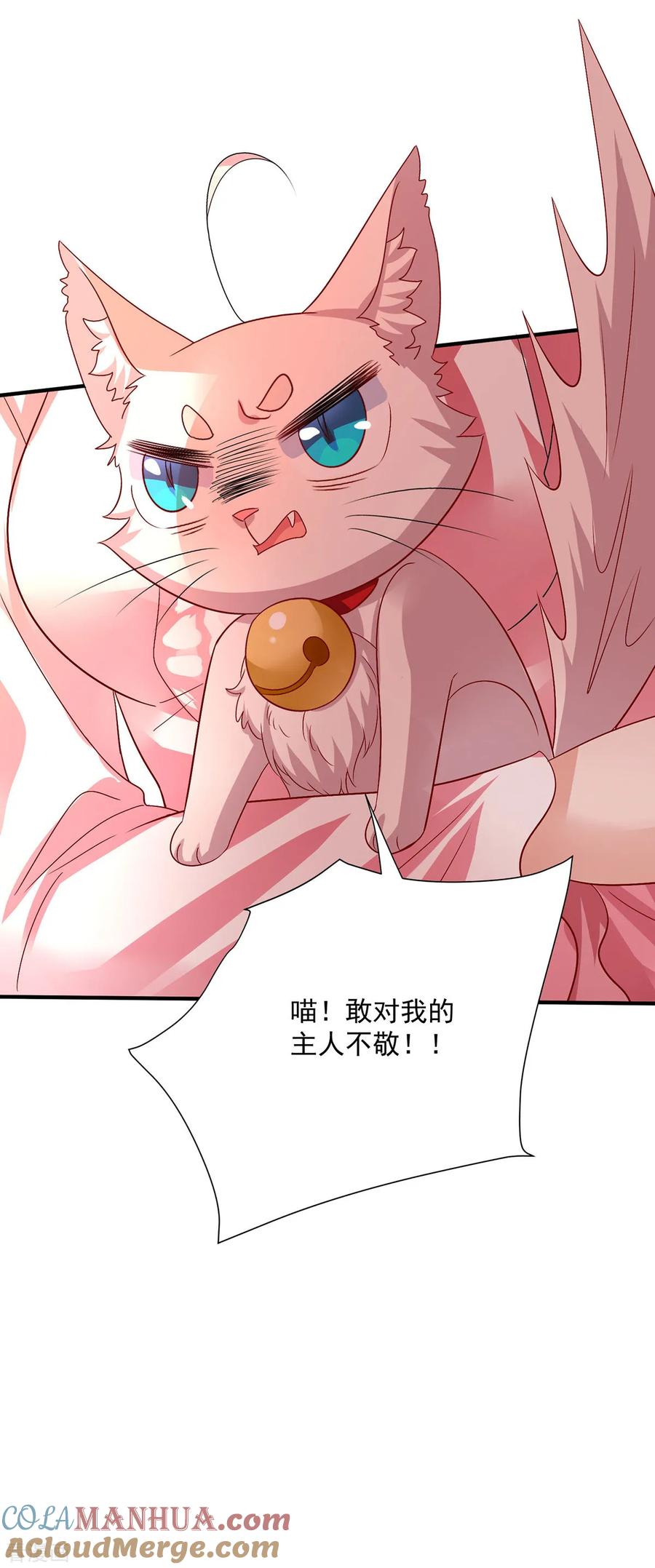 我在异界养男神：神医九小姐 第254话 他到底是谁？ 第15页