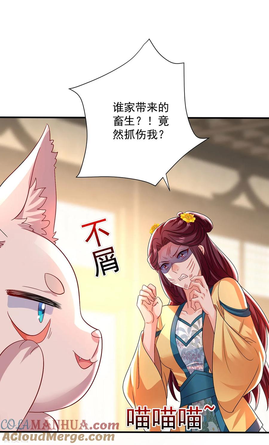 我在异界养男神：神医九小姐 第254话 他到底是谁？ 第23页