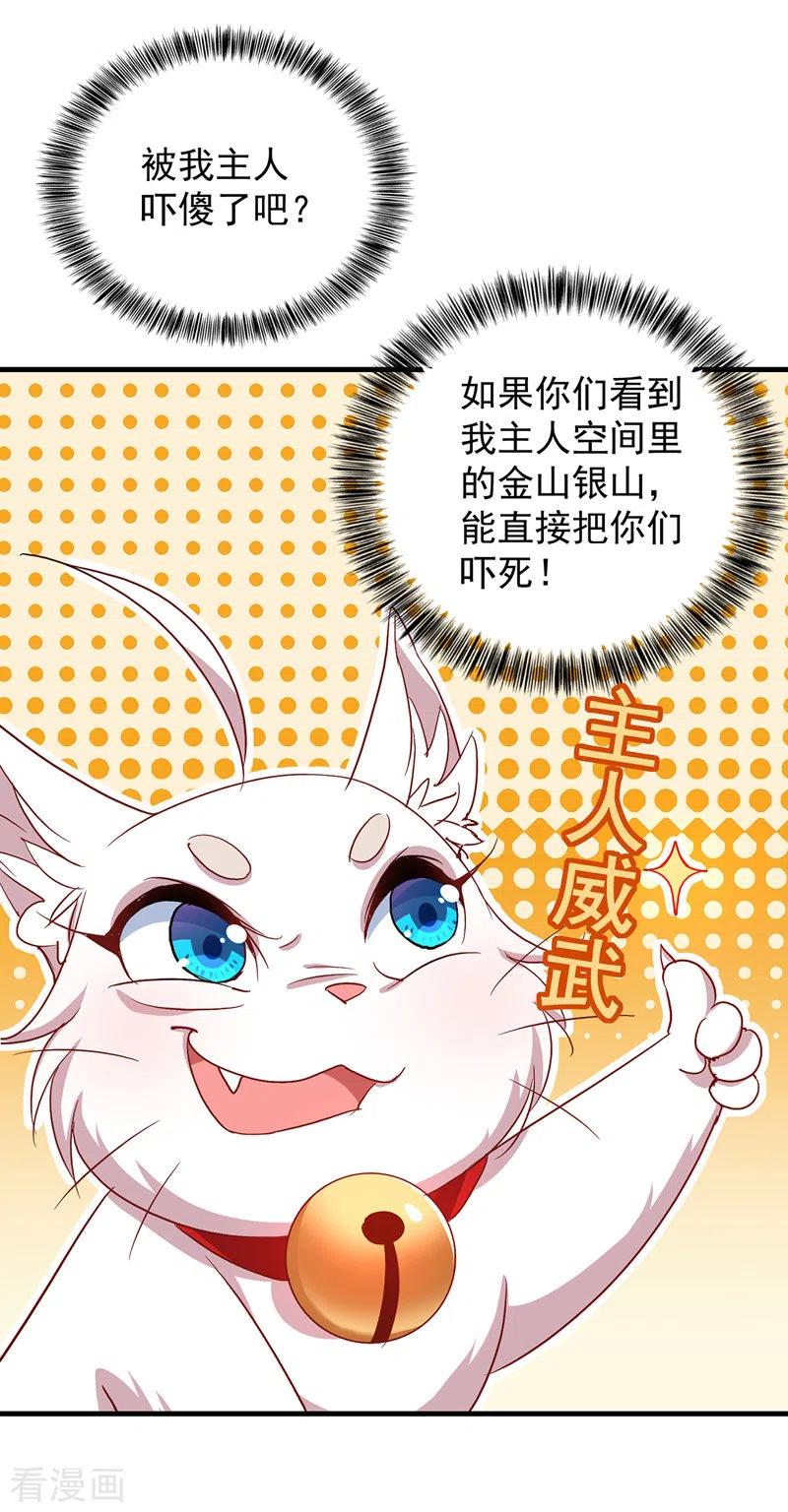我在异界养男神：神医九小姐 第25话 赌石 第4页
