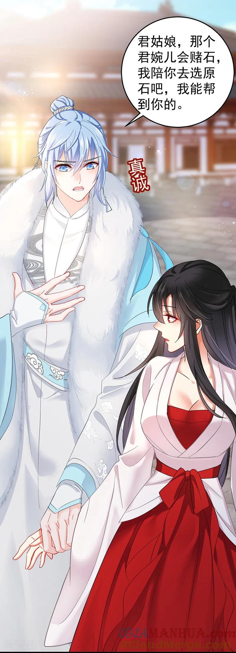 我在异界养男神：神医九小姐 第25话 赌石 第27页