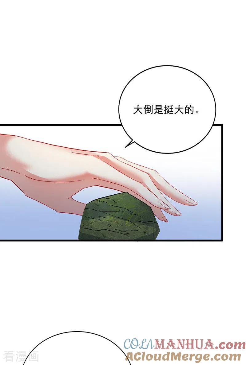 我在异界养男神：神医九小姐 第26话 解石 第19页
