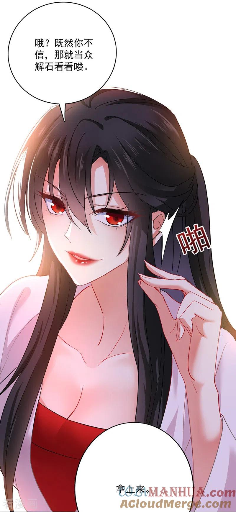 我在异界养男神：神医九小姐 第26话 解石 第25页
