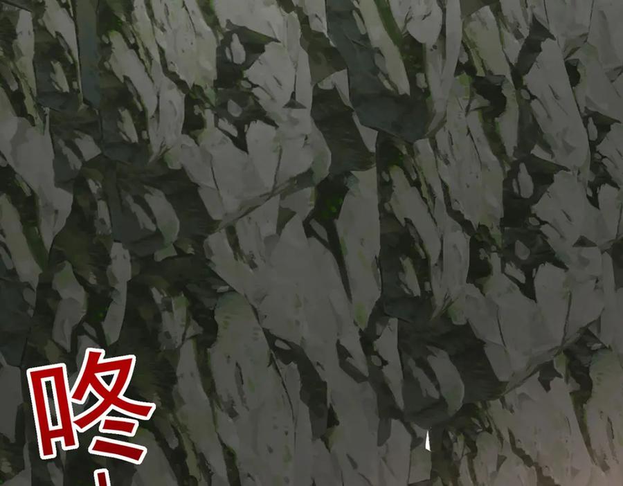 我在异界养男神：神医九小姐 第278话 追杀 第30页