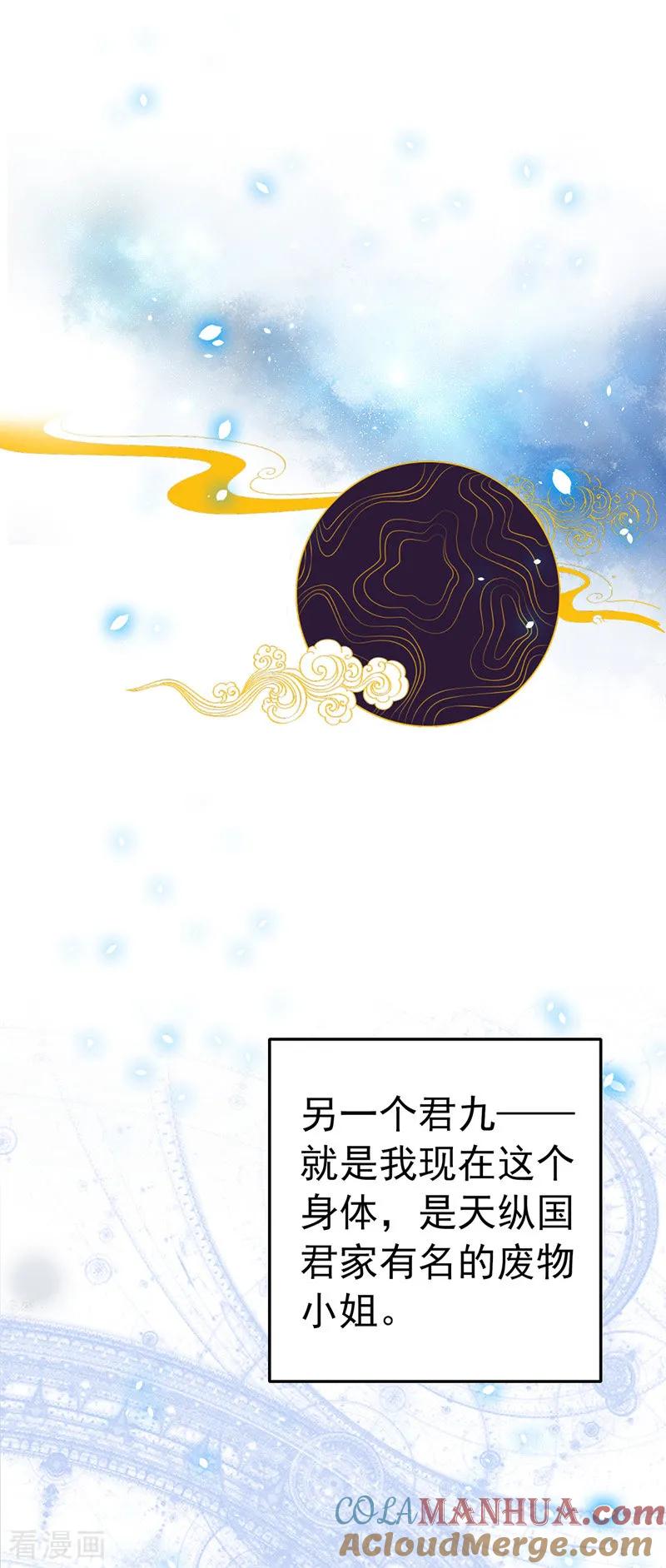 我在异界养男神：神医九小姐 第2话 异界重生 第17页