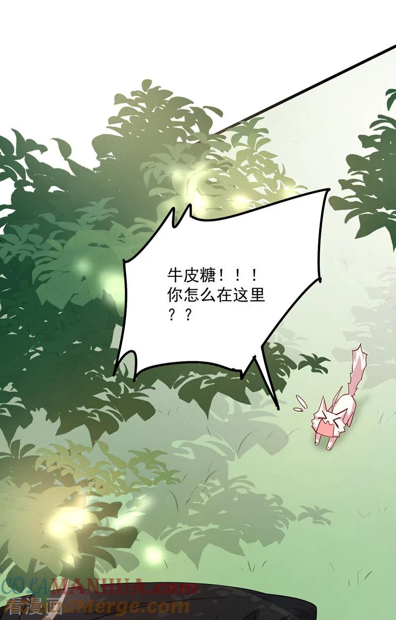 我在异界养男神：神医九小姐 第36话 甩不掉 第25页