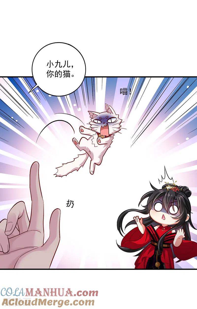 我在异界养男神：神医九小姐 第48话 烂脸 第5页