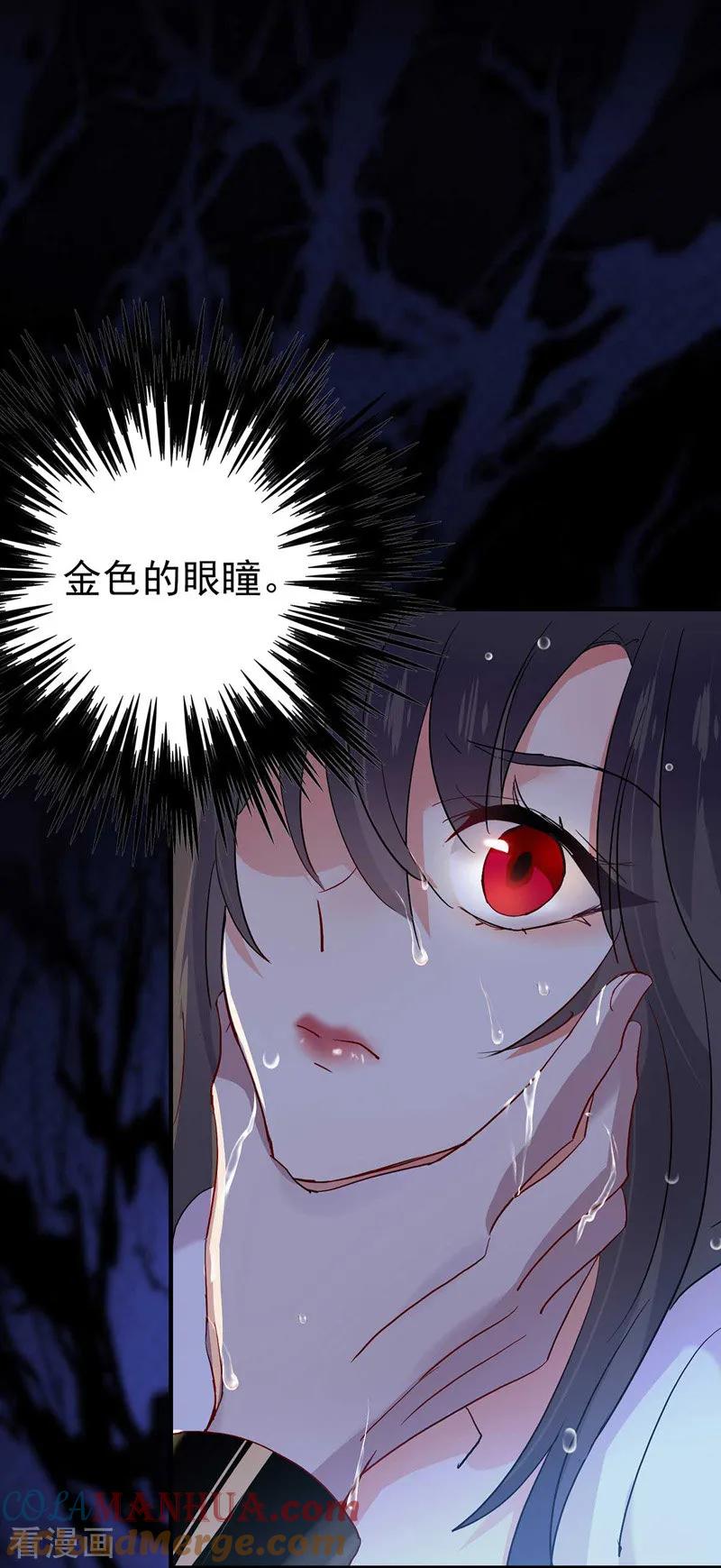 我在异界养男神：神医九小姐 第4话 危险的男人 第29页