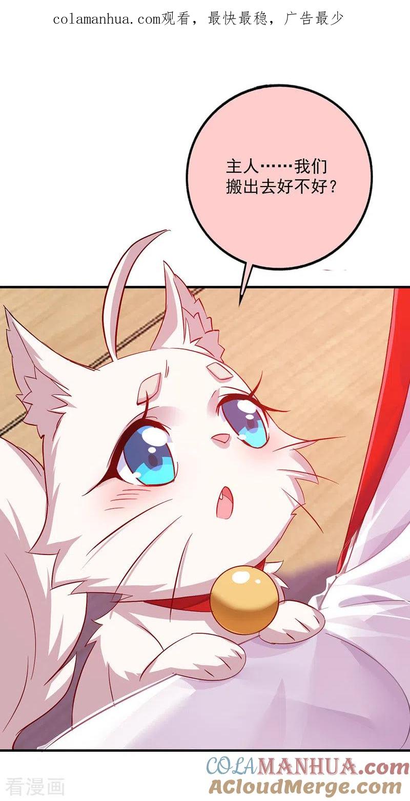 我在异界养男神：神医九小姐 第50话 小猫化虎 第1页