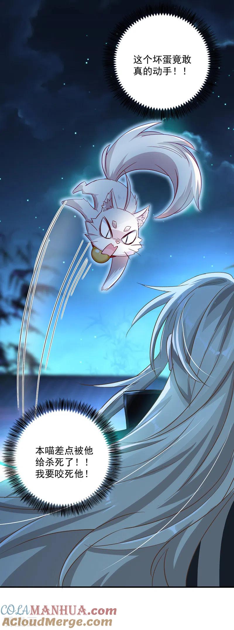 我在异界养男神：神医九小姐 第50话 小猫化虎 第15页