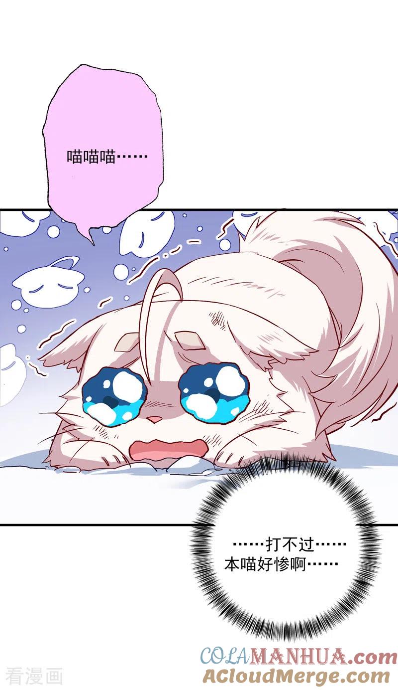 我在异界养男神：神医九小姐 第50话 小猫化虎 第31页