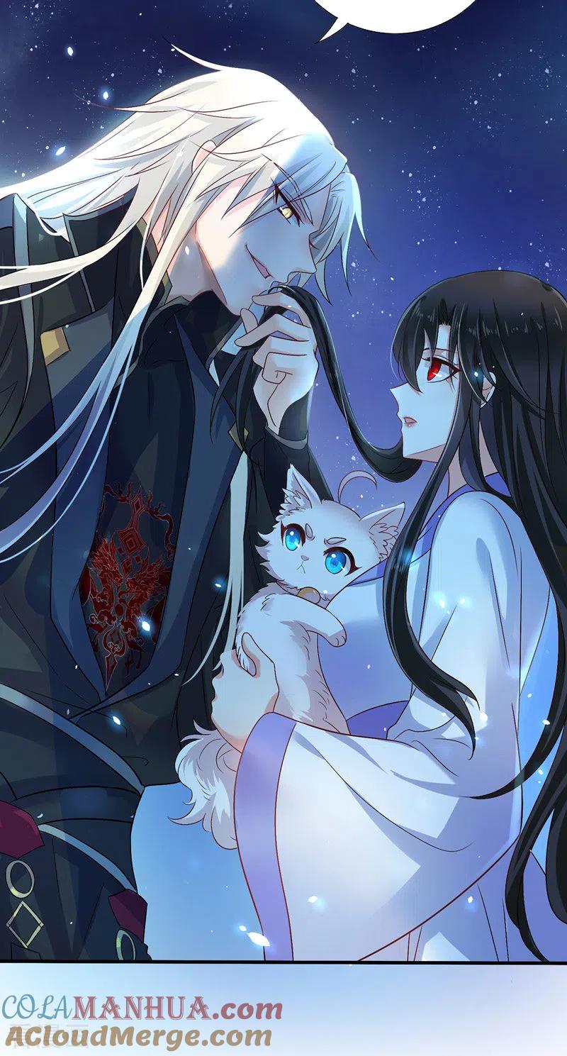 我在异界养男神：神医九小姐 第51话 赤龙戒 第15页