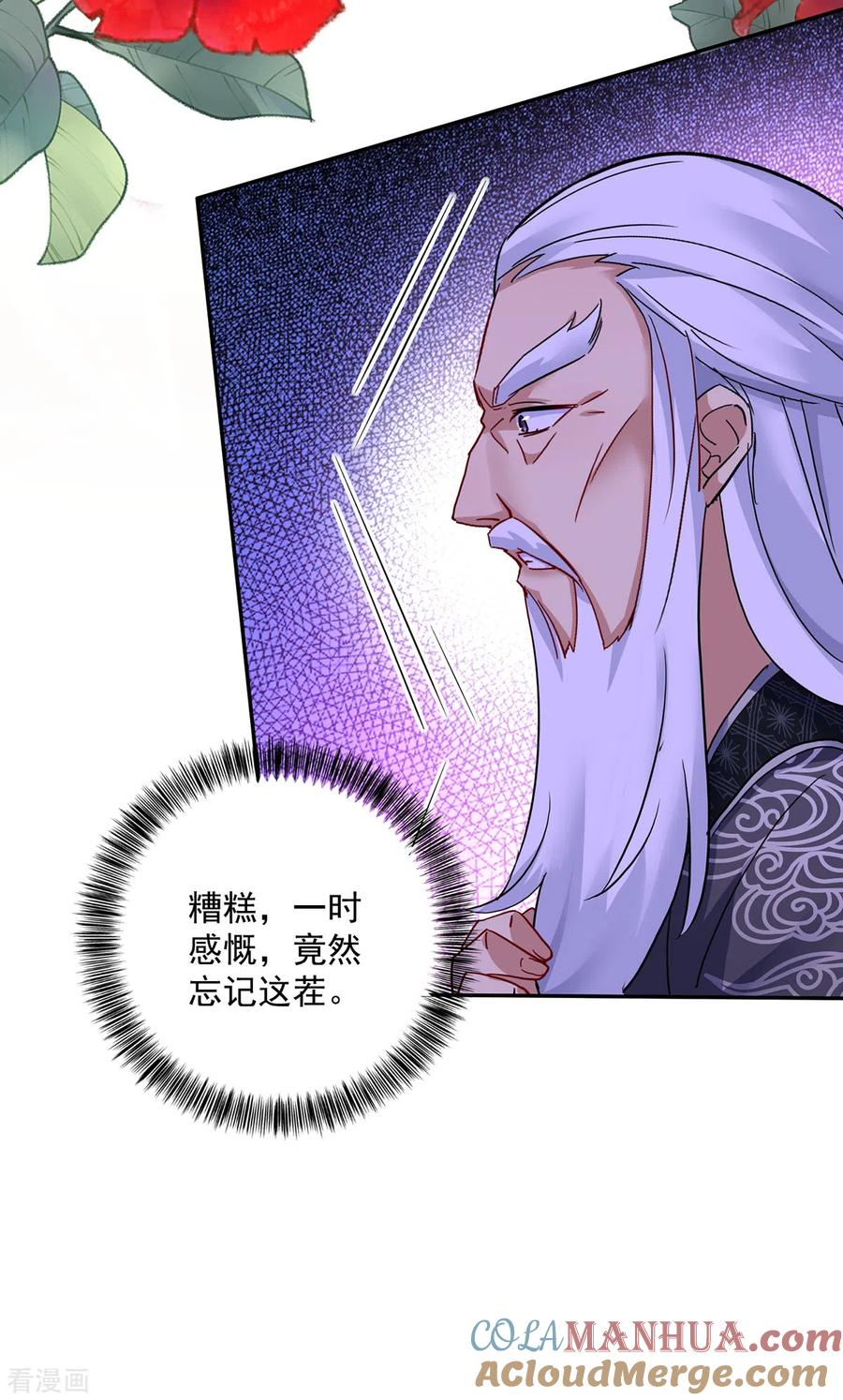 我在异界养男神：神医九小姐 第60话 身世 第13页