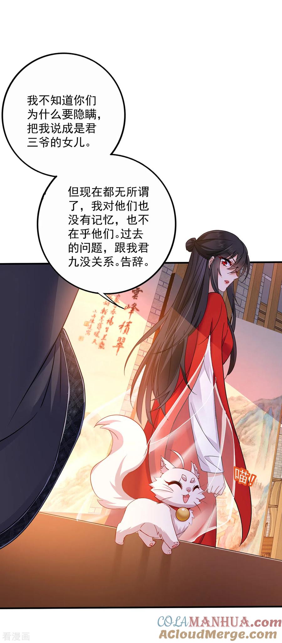 我在异界养男神：神医九小姐 第60话 身世 第27页