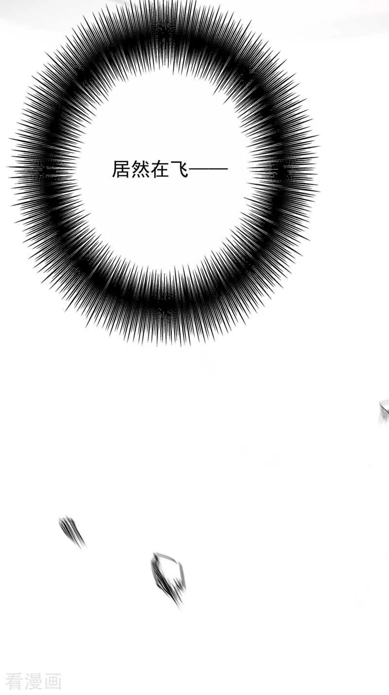 我在异界养男神：神医九小姐 第6话 破除封印 第24页