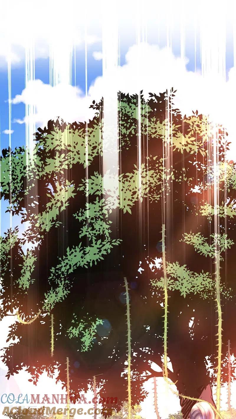 我在异界养男神：神医九小姐 第69话 进入天纵山 第21页