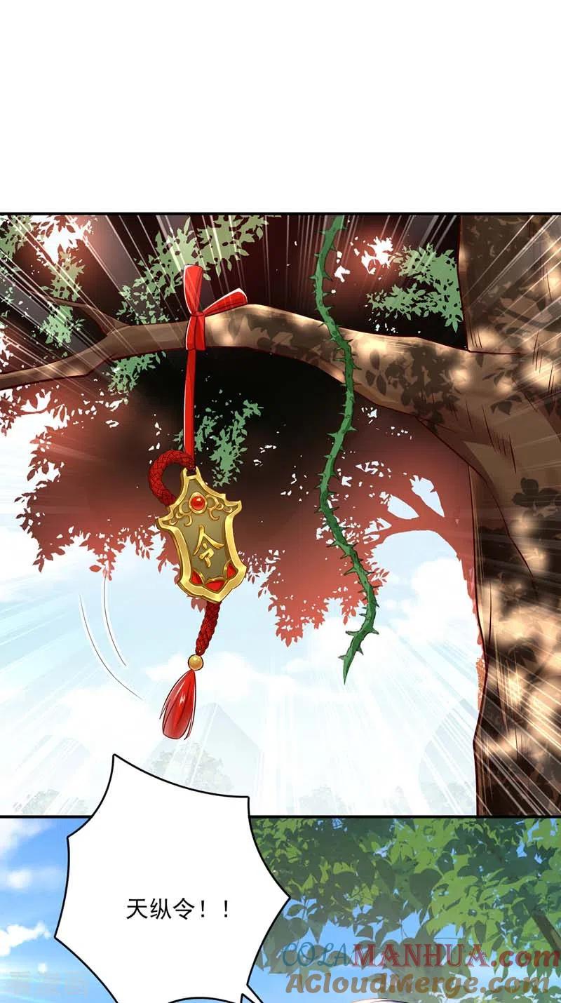 我在异界养男神：神医九小姐 第69话 进入天纵山 第25页