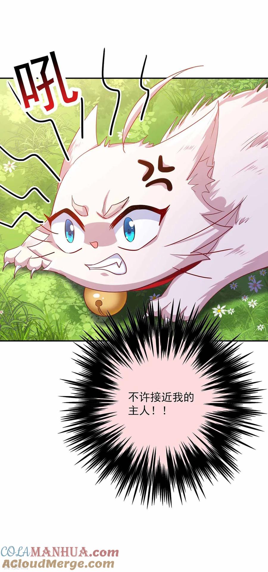 我在异界养男神：神医九小姐 第77话 考试通过 第5页