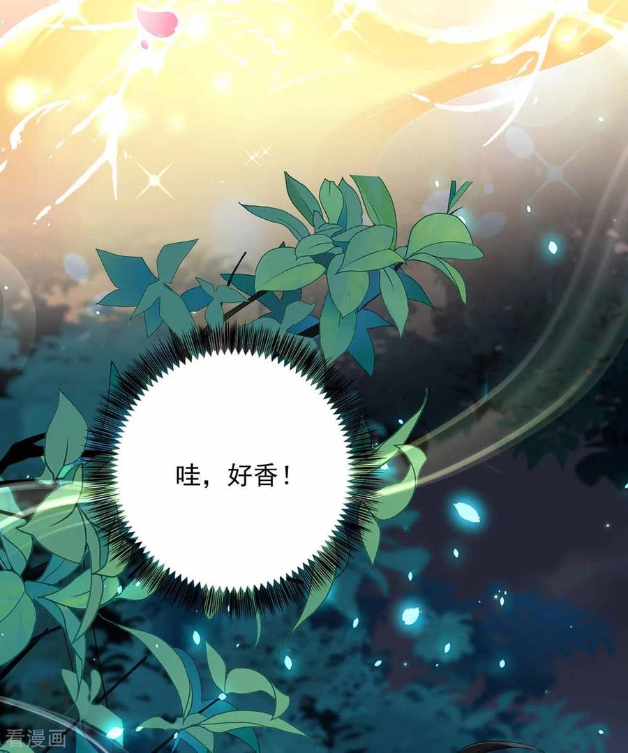 我在异界养男神：神医九小姐 第78话 选夫标准 第8页