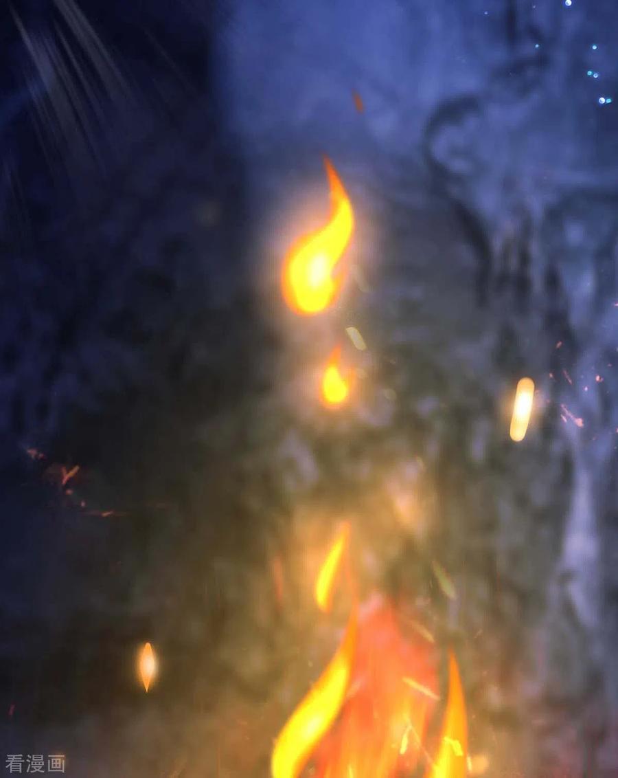 我在异界养男神：神医九小姐 第97话 传承 第10页
