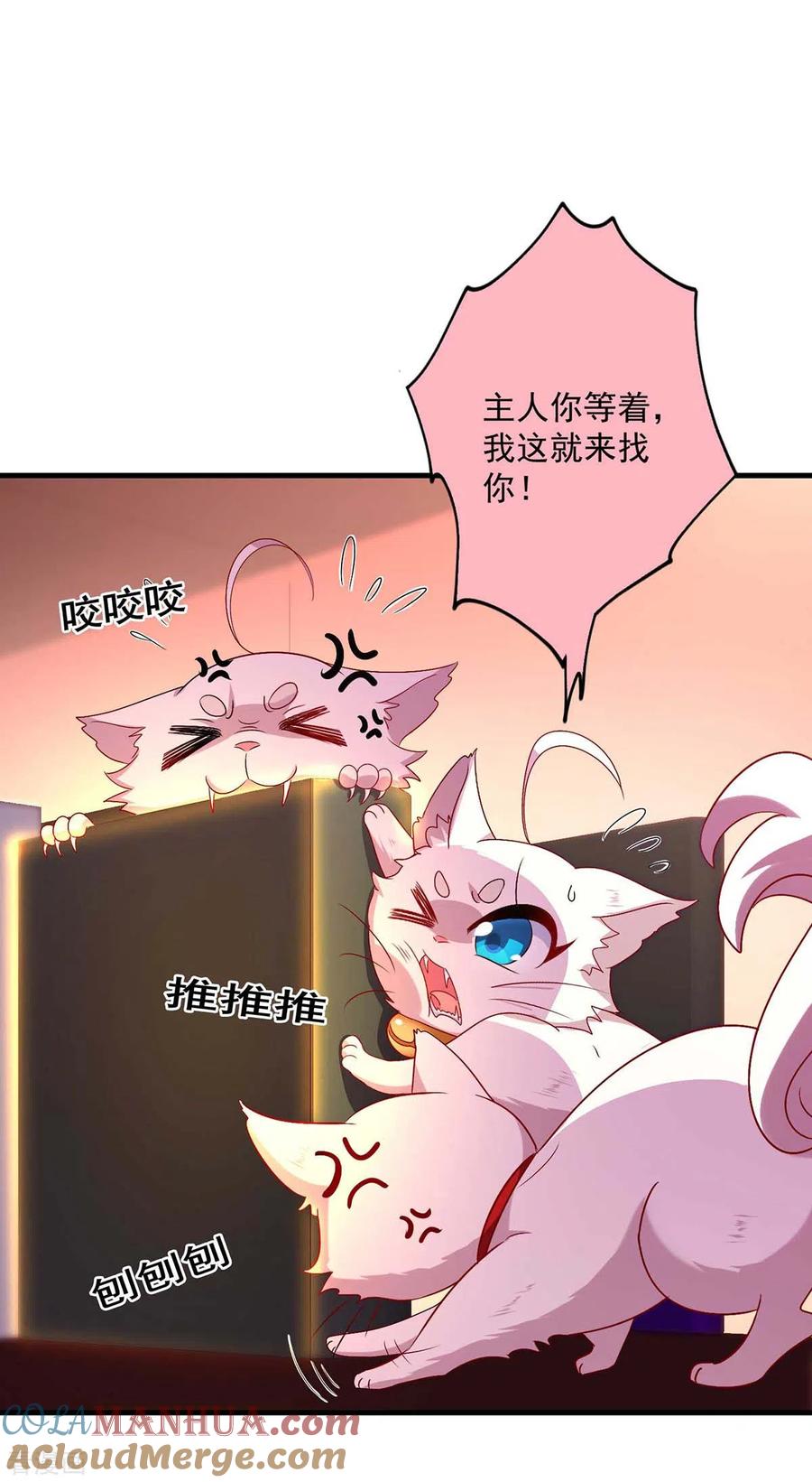 我在异界养男神：神医九小姐 第97话 传承 第5页