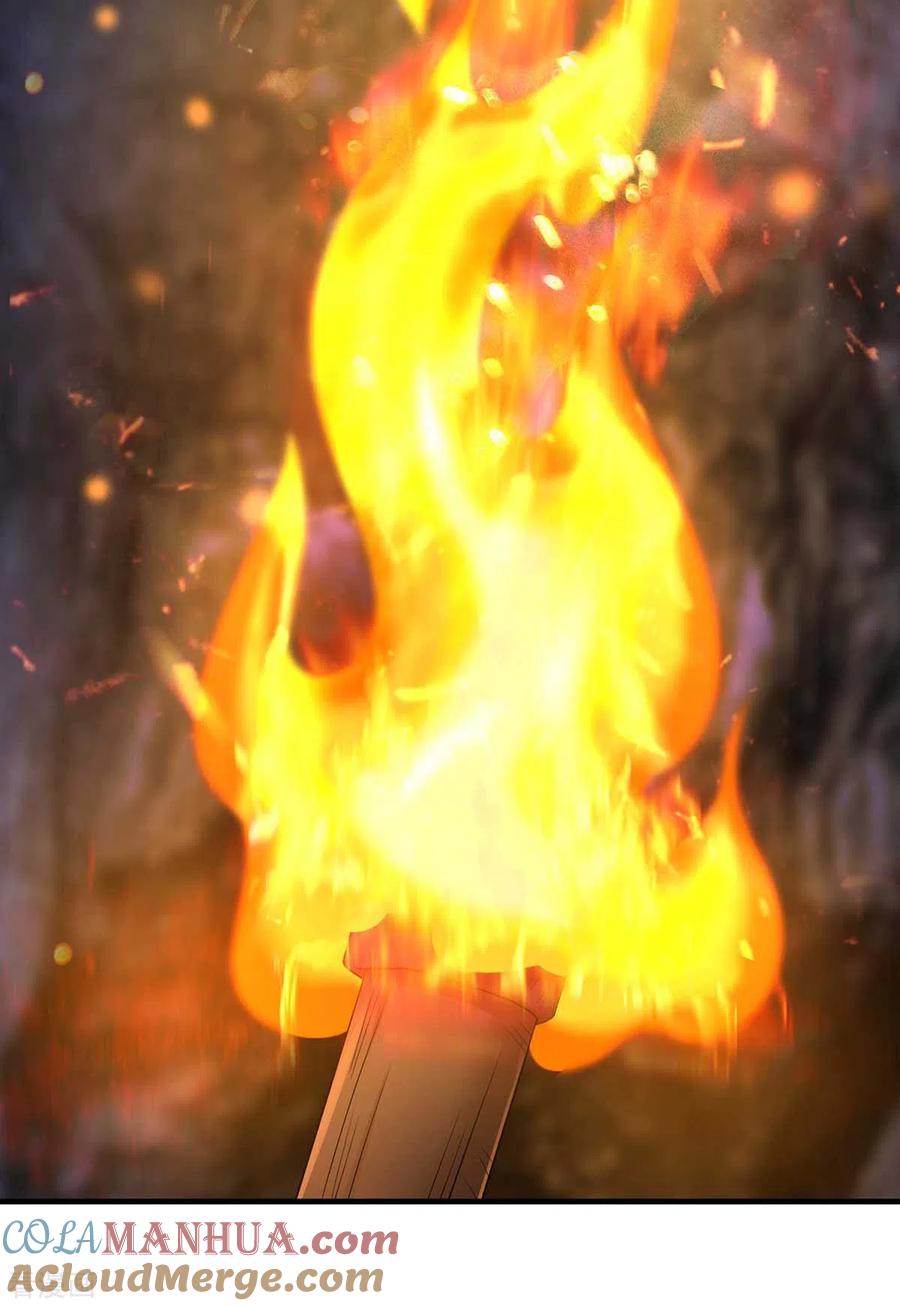 我在异界养男神：神医九小姐 第97话 传承 第11页