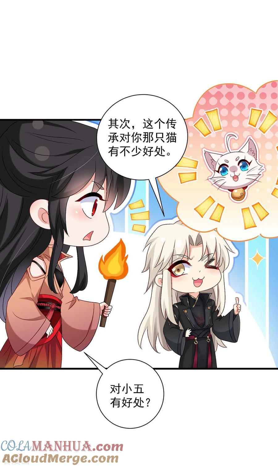 我在异界养男神：神医九小姐 第97话 传承 第29页