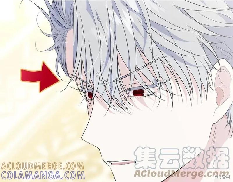 《明明是冷美人小姐却变成了忠犬大少爷》第77话 第69页