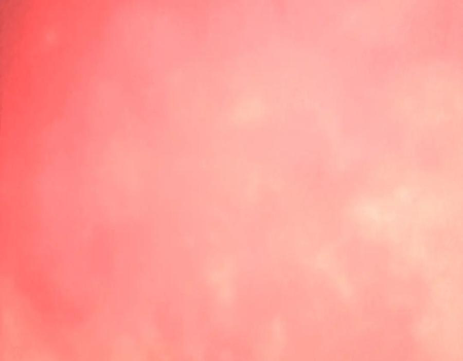 我，最强BOSS - 36 - 第228张图