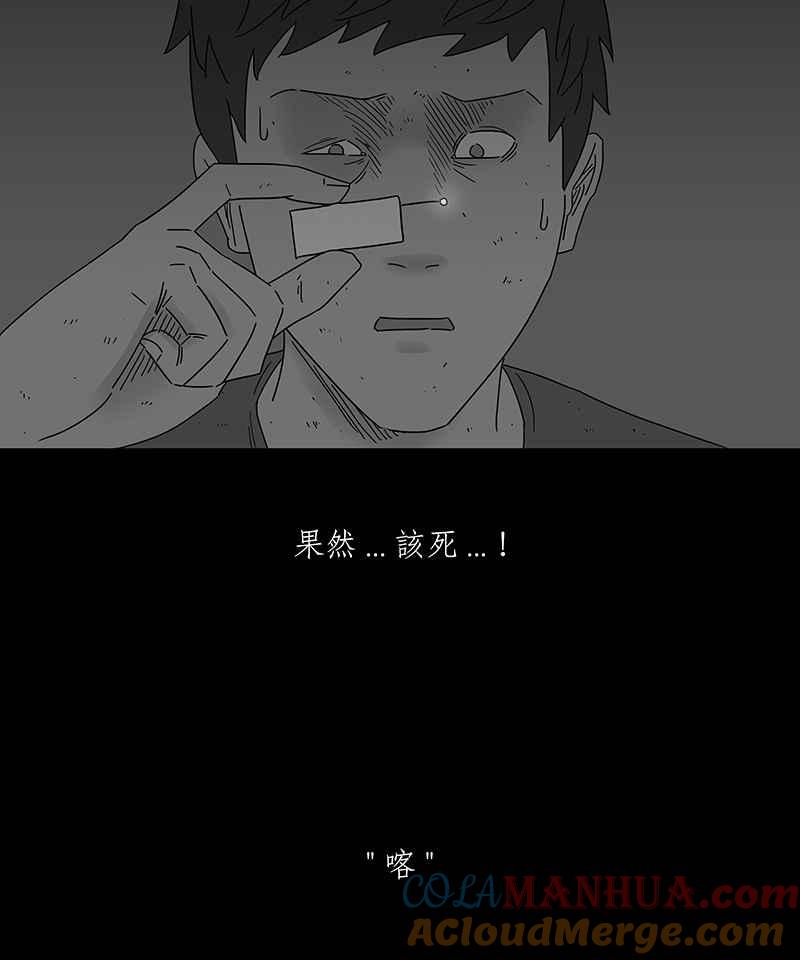 黑盒子 [第178话] 末路孤雏(4) 第15页