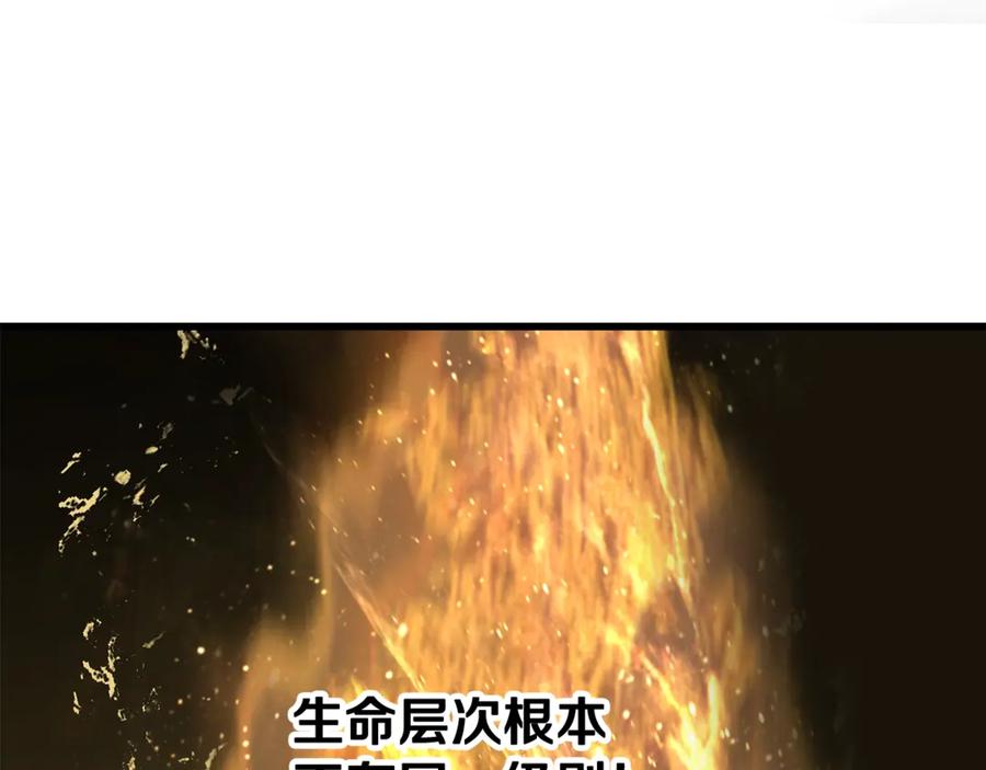 116.jpg