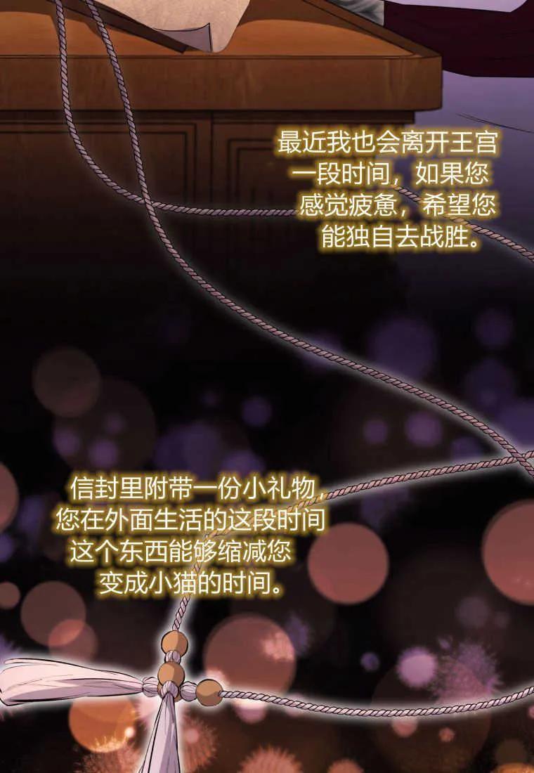 成为苏尔坦珍爱的猫咪 第36话 第18页