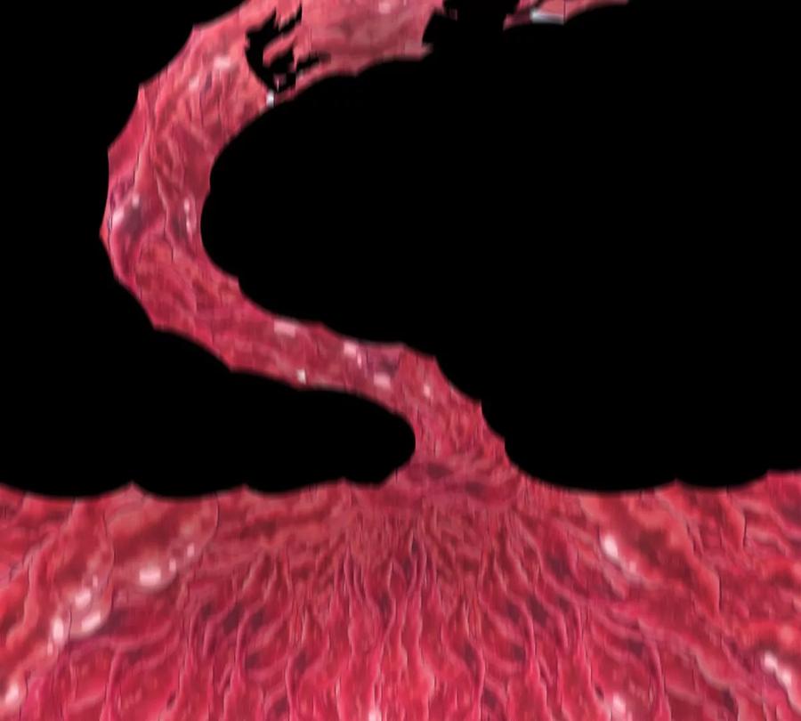 重生为怪兽什么鬼 - 第47话 又被吞下肚 - 第39张图