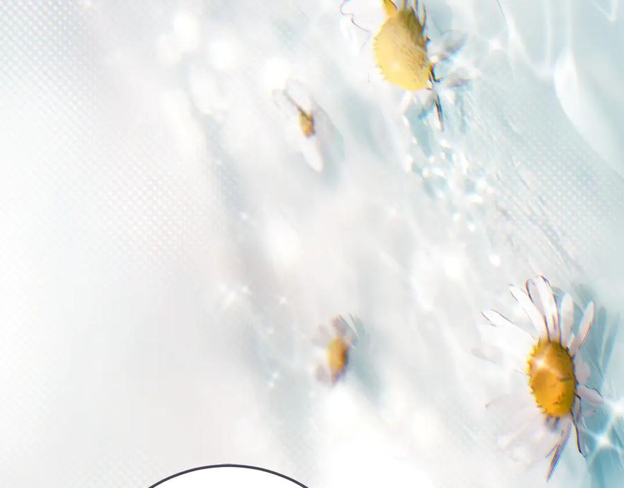 不幸的骑士，请和姐姐恋爱吧 - 第66话 继续恋爱 - 第84张图