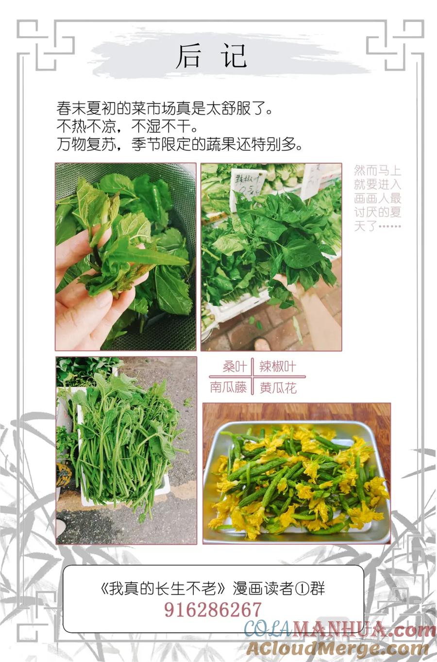 我真的长生不老 065 野有蔓草 第19页