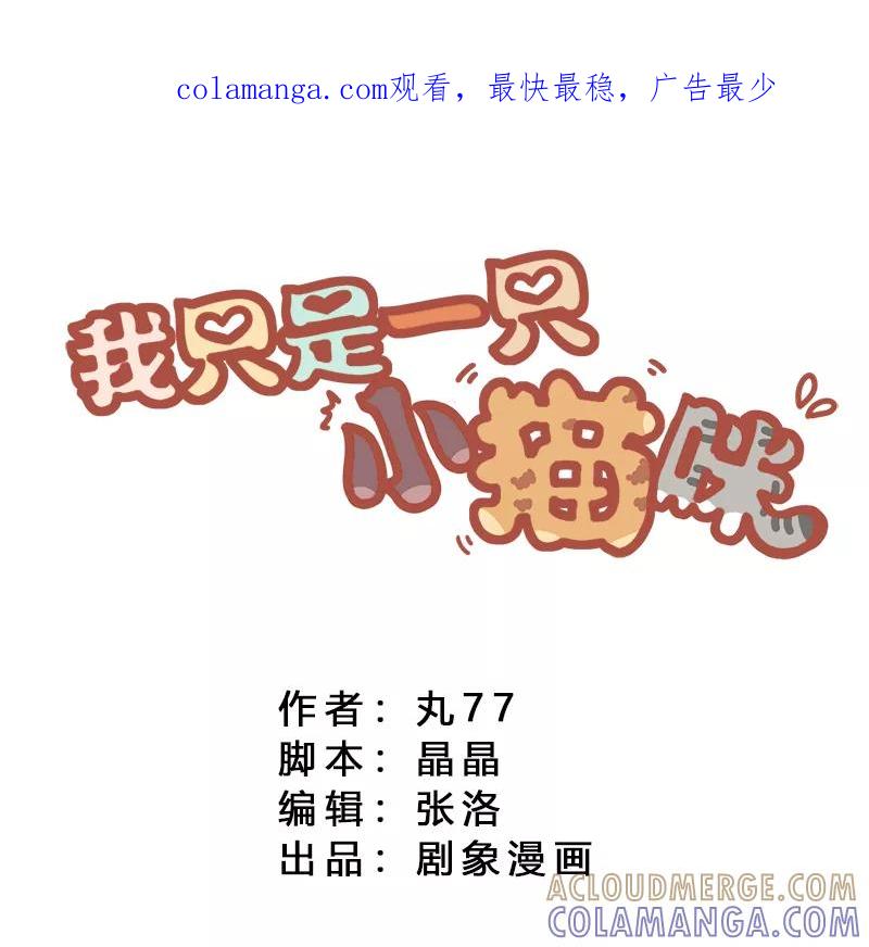 我只是一只小猫咪 第1话 第1页