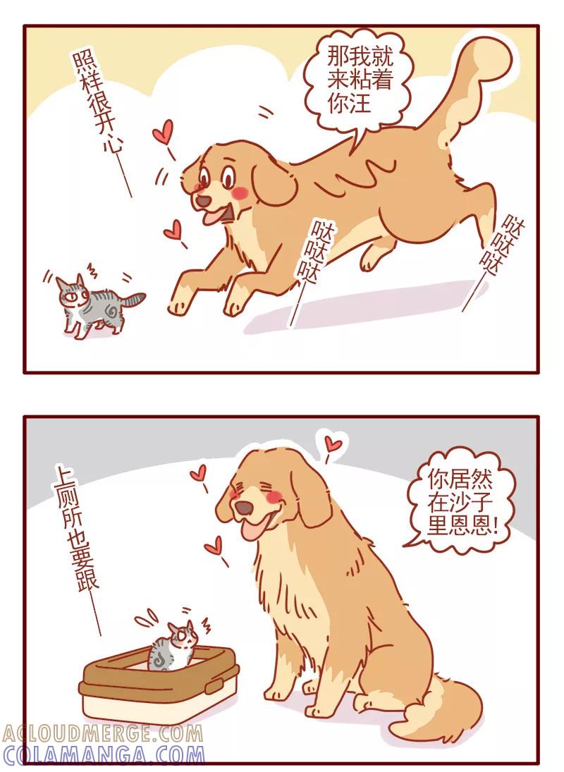 我只是一只小猫咪 第1话 第9页