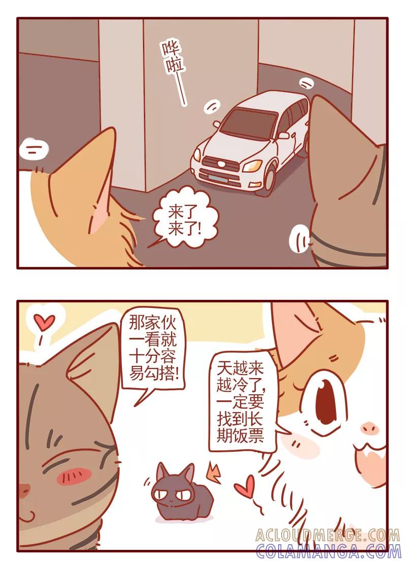 我只是一只小猫咪 第1话 第15页