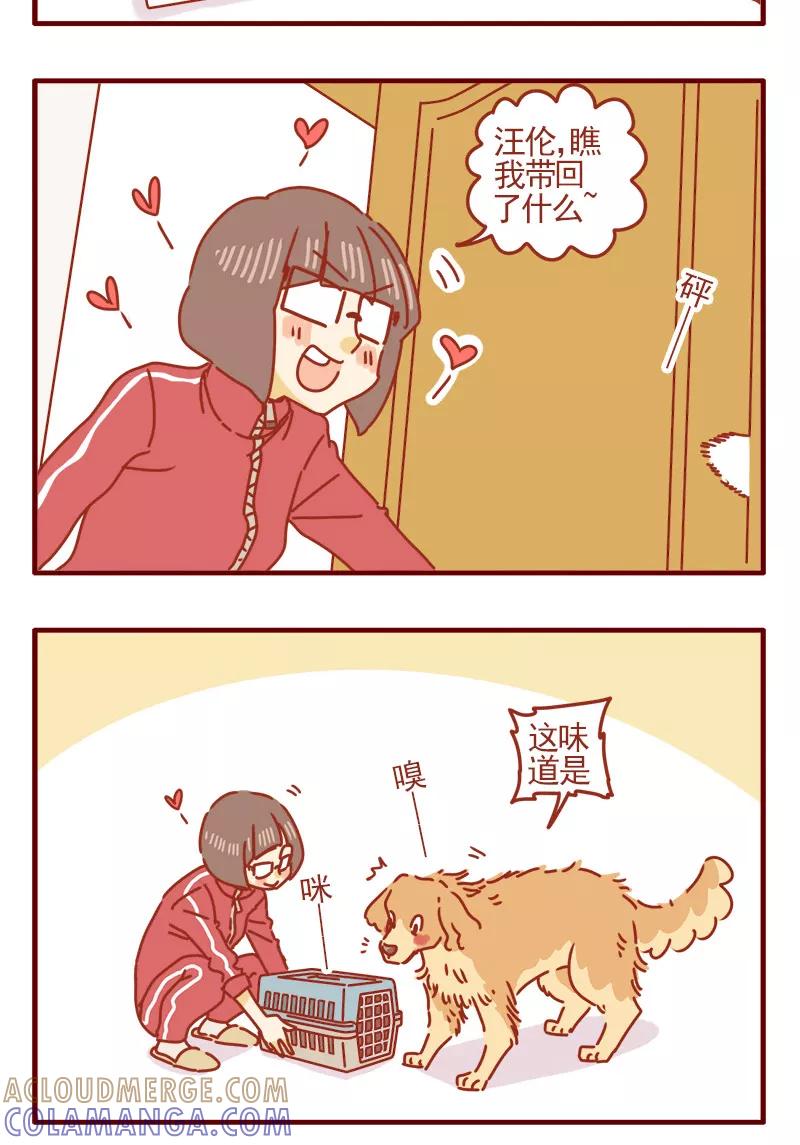 我只是一只小猫咪 第1话 第3页