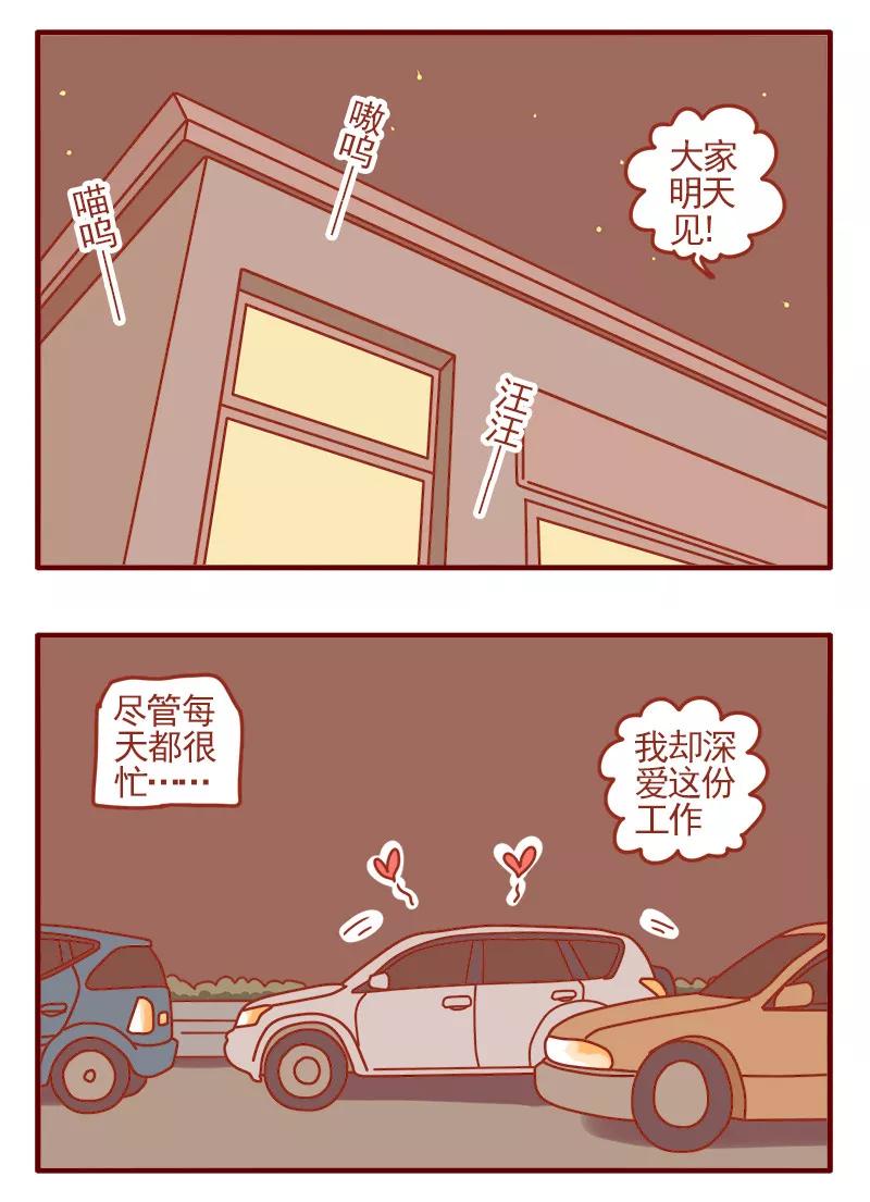 我只是一只小猫咪 第1话 第14页