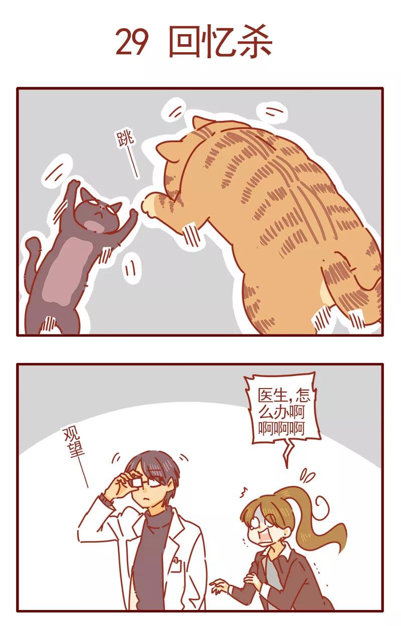 我只是一只小猫咪 第10话 第2页