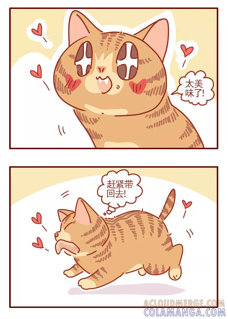 我只是一只小猫咪 第10话 第15页