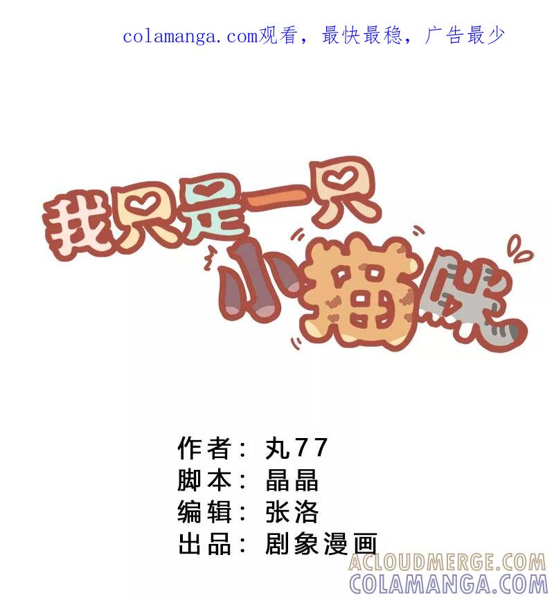 我只是一只小猫咪 第10话 第1页