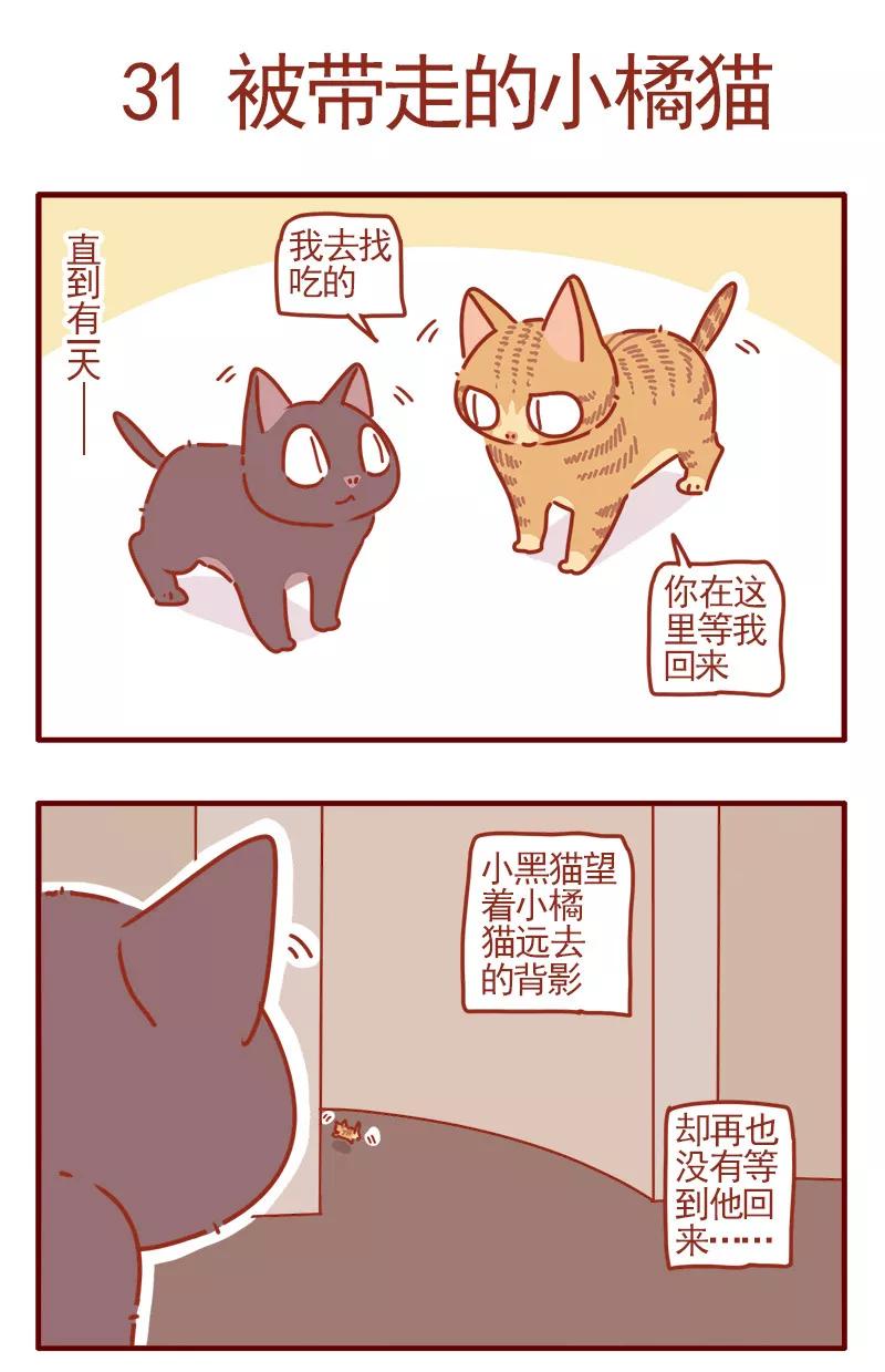 我只是一只小猫咪 第10话 第12页