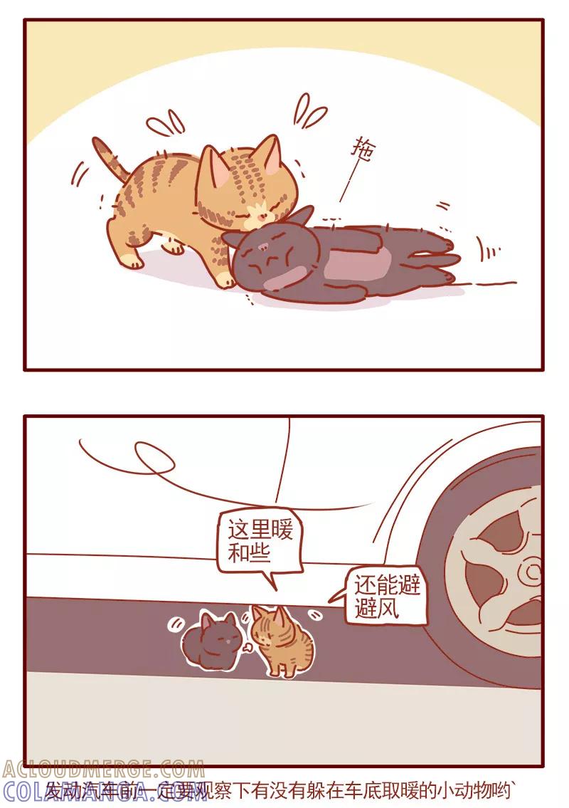我只是一只小猫咪 第10话 第5页